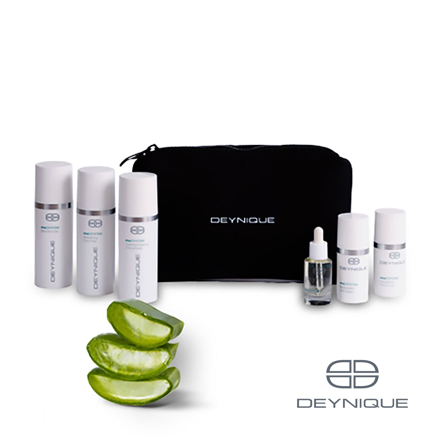 aloe|SYSTEM Reiseset